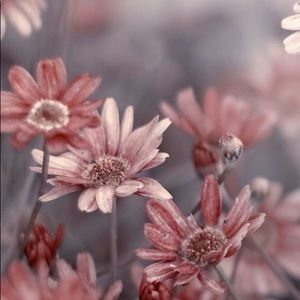 Meet your Posher, Miriam